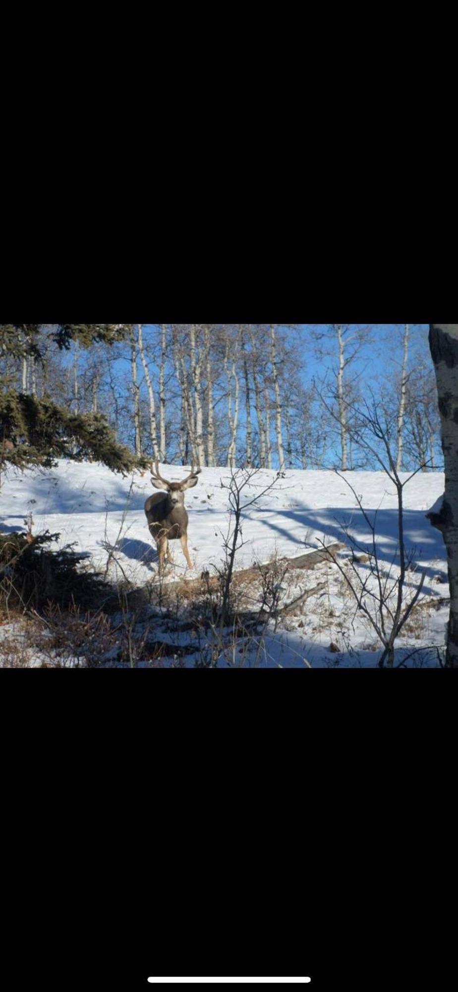 Villa Heart West Haven Priddis Esterno foto